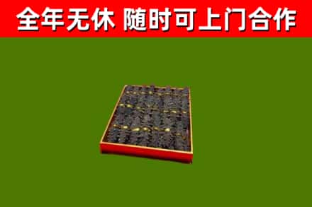 沧州回收海参